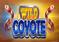 Wild Coyote